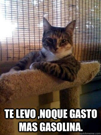 te levo ,noque gasto mas gasolina.  The Most Interesting Cat in the World