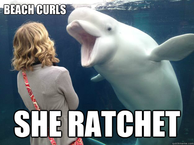 Beach curls She ratchet - Beach curls She ratchet  Bitchy Beluga