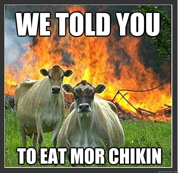We told you to eat mor chikin  - We told you to eat mor chikin   Evil cows