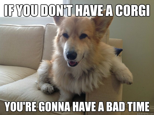 If you don't have a corgi You're gonna have a bad time  