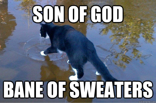 son of god bane of sweaters - son of god bane of sweaters  Jesus Cat