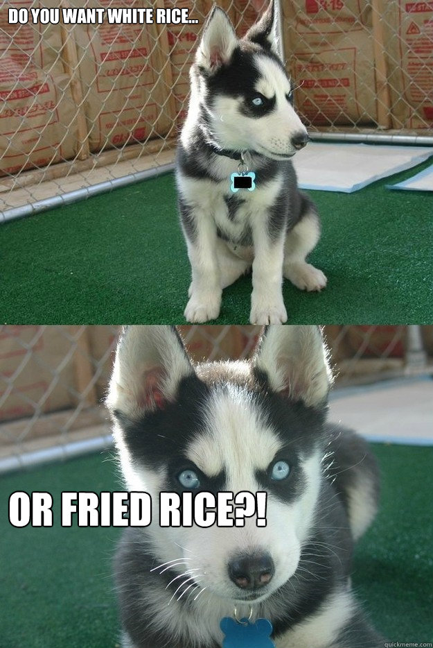 Do you want white rice... or fried rice?!  Insanity puppy