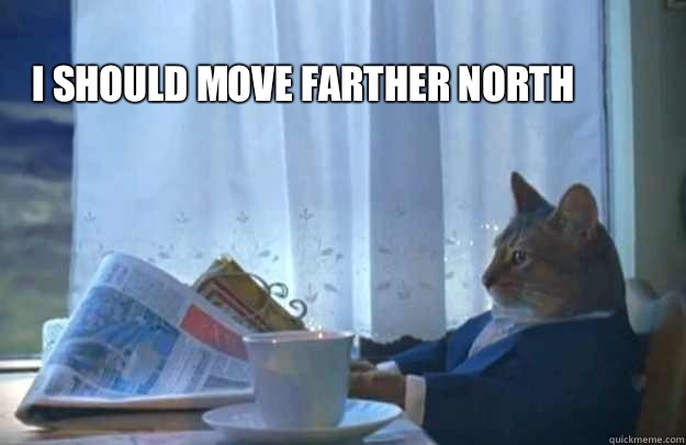 I should move farther north - I should move farther north  Sophisticated Cat