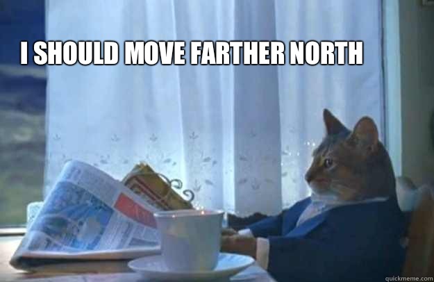 I should move farther north  Sophisticated Cat