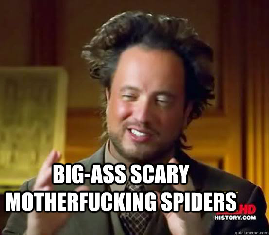  Big-ass scary motherfucking spiders -  Big-ass scary motherfucking spiders  Alien guy from history channel