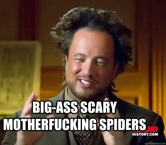  Big-ass scary motherfucking spiders  Alien guy from history channel