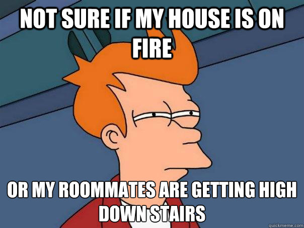 Not sure if my house is on fire Or my roommates are getting high down stairs  Futurama Fry