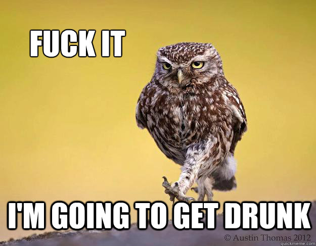 I'm going to get drunk Fuck It  Marchin Owl
