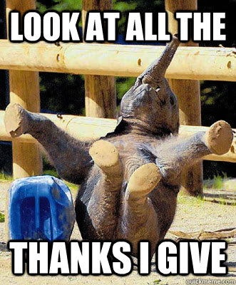 Look at all the  thanks I give  Look At All The Fucks I Give