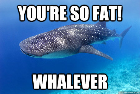 You're SO FAT! Whalever  Good Guy Whale Shark
