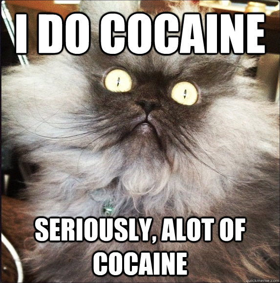 I DO COCAINe seriously, alot of cocaine - I DO COCAINe seriously, alot of cocaine  strung out cat