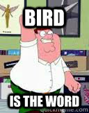 bird is the word  bird is the word