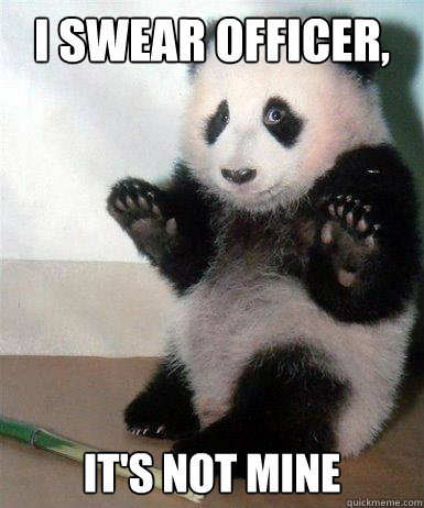 I swear officer, It's not mine - I swear officer, It's not mine  Guilty Panda