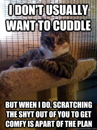 I don't usually want to cuddle but when I do, scratching the shyt out of you to get comfy is apart of the plan  The Most Interesting Cat in the World