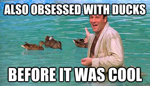 Also Obsessed with ducks Before it was cool - Also Obsessed with ducks Before it was cool  Hipster Tony Soprano