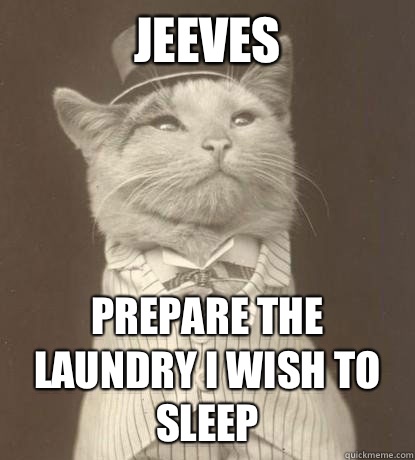 Jeeves  Prepare the laundry I wish to sleep  - Jeeves  Prepare the laundry I wish to sleep   Aristocat
