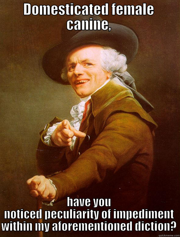 DOMESTICATED FEMALE CANINE, HAVE YOU NOTICED PECULIARITY OF IMPEDIMENT WITHIN MY AFOREMENTIONED DICTION? Joseph Ducreux