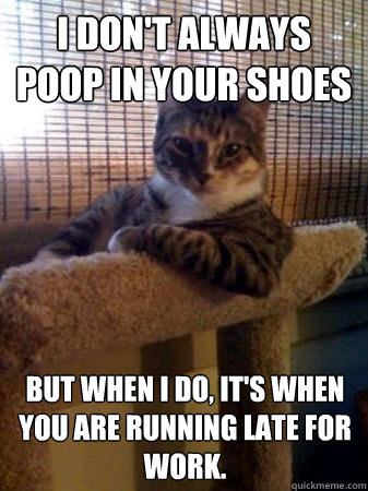 I don't always poop in your shoes but when I do, It's when you are running late for work.  The Most Interesting Cat in the World