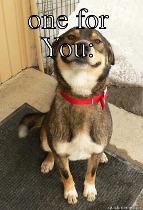 ONE FOR YOU:  Good Dog Greg