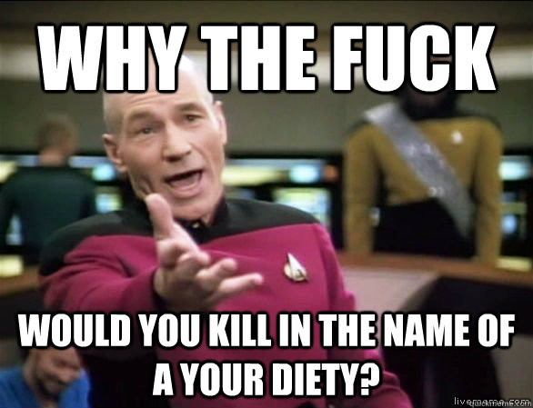 why the fuck WOULD YOU KILL IN THE NAME OF A Your DIETY?  Annoyed Picard HD