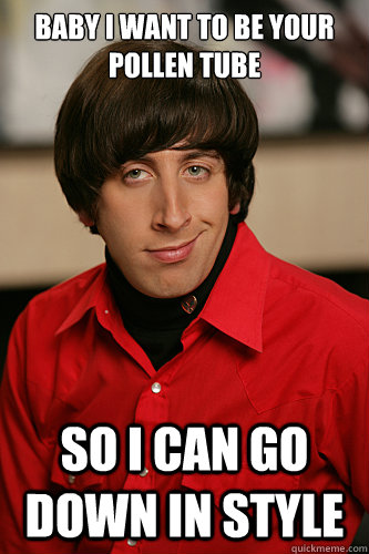 BABY I WANT TO BE YOUR POLLEN TUBE  SO I CAN GO DOWN IN STYLE   Howard Wolowitz