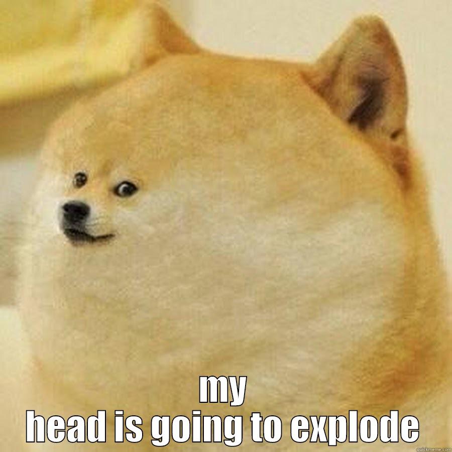  MY HEAD IS GOING TO EXPLODE Misc