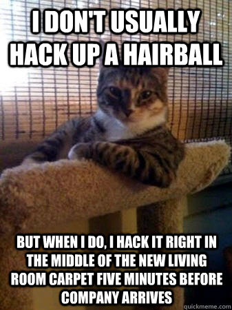 I don't usually hack up a hairball but when I do, i hack it right in the middle of the new living room carpet five minutes before company arrives  The Most Interesting Cat in the World