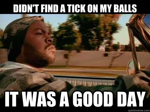 didn't find a tick on my balls it was a good day  Good day cube