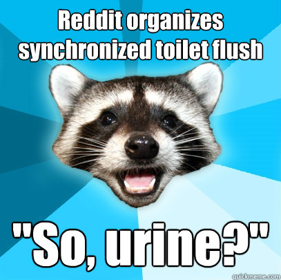 Reddit organizes synchronized toilet flush 