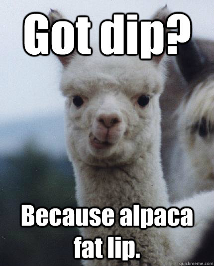 Got dip? Because alpaca fat lip.  ALPACA