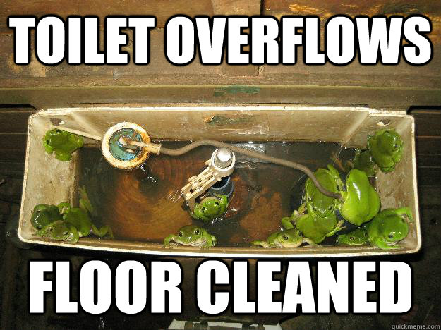 toilet overflows floor cleaned - toilet overflows floor cleaned  Foul Bachelor Frogs
