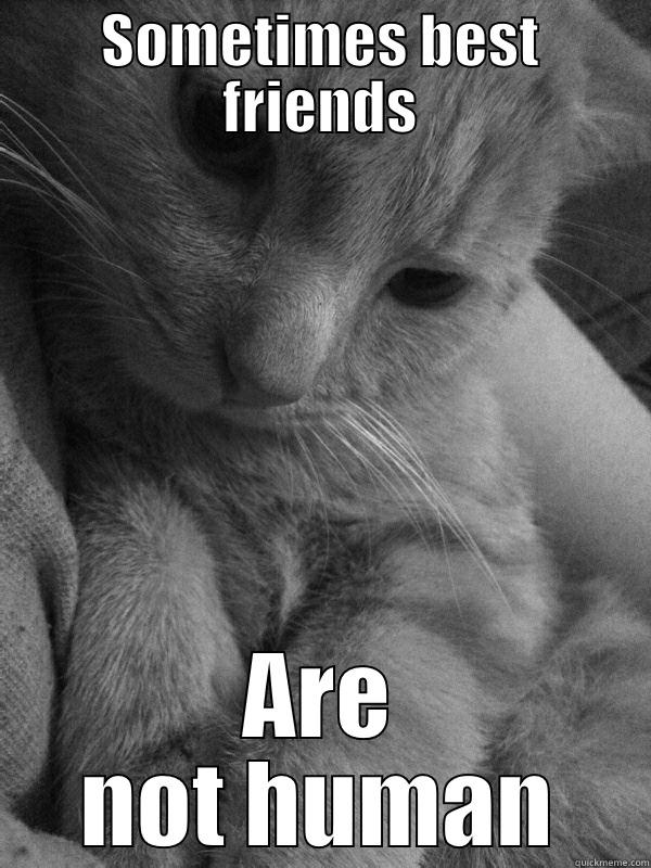 I love my cat! - SOMETIMES BEST FRIENDS ARE NOT HUMAN Misc