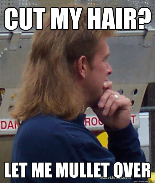 Cut my hair? Let me mullet over - Cut my hair? Let me mullet over  Misc