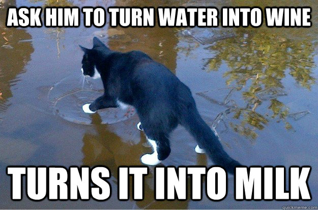 ask him to turn water into wine turns it into milk - ask him to turn water into wine turns it into milk  Jesus Cat