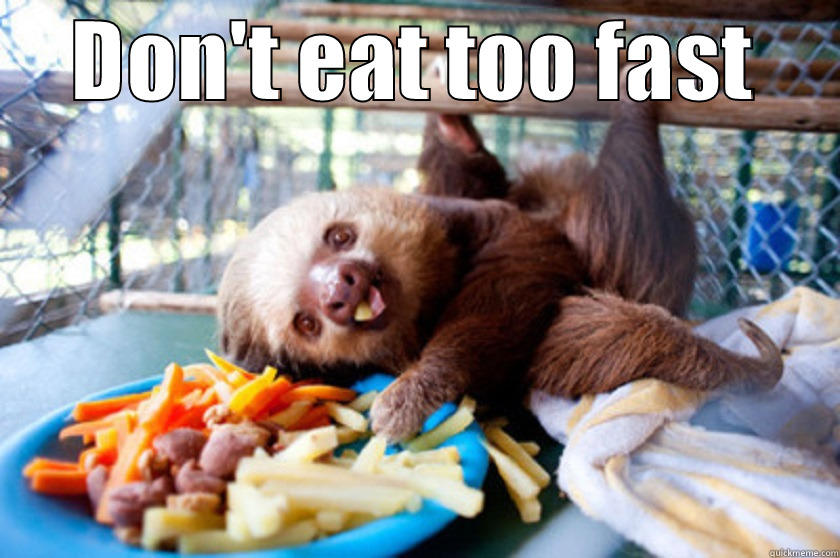 DON'T EAT TOO FAST  Misc