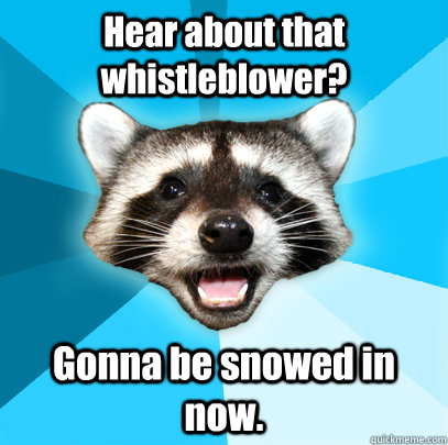 Hear about that whistleblower? Gonna be snowed in now.   Lame Pun Coon