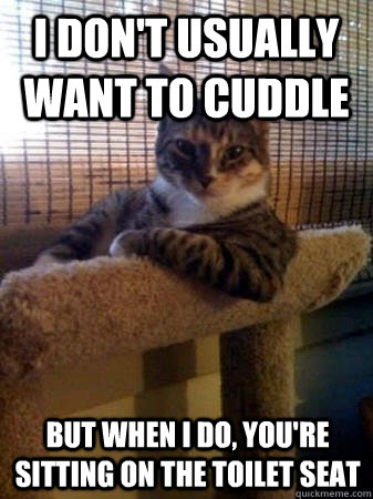 I don't usually want to cuddle but when I do, you're sitting on the toilet seat  The Most Interesting Cat in the World