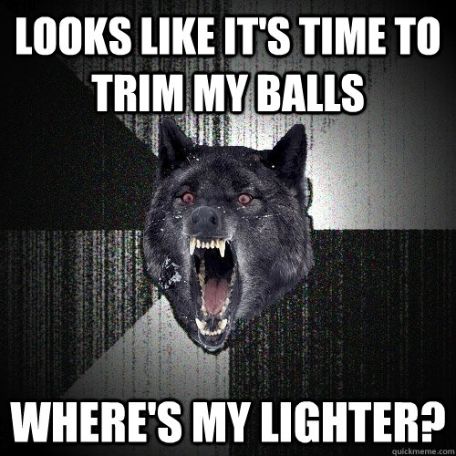 Looks like it's time to trim my balls where's my lighter? - Looks like it's time to trim my balls where's my lighter?  Insanity Wolf