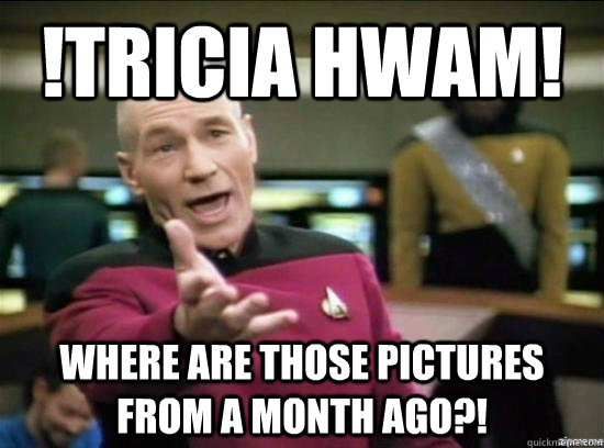 !Tricia Hwam! Where are those pictures from a month ago?!  Annoyed Picard HD
