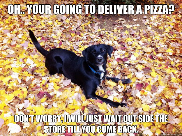 Oh.. Your going to deliver a pizza? don't worry, I will just wait out side the store till you come back.  Guilt Giving Good Dog