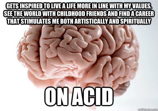 gets inspired to live a life more in line with my values, see the world with childhood friends and find a career that stimulates me both artistically and spiritually  on acid  Scumbag brain on life
