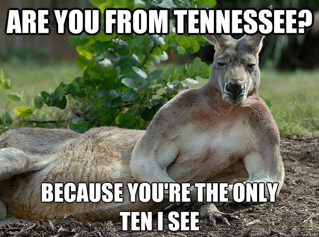 Are you from Tennessee? because you're the only 
ten I see  Sexually Forward Kangaroo
