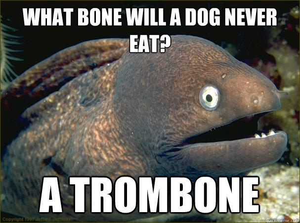 What bone will a dog never eat? A trombone - What bone will a dog never eat? A trombone  Bad Joke Eel