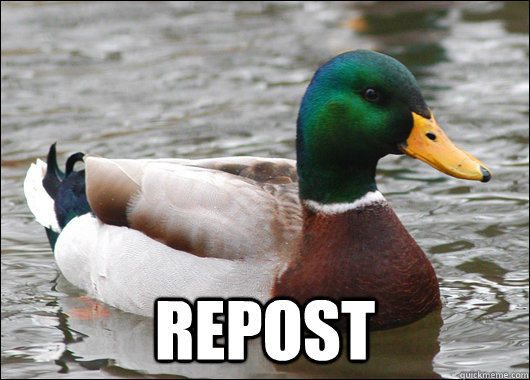  REPOST  Actual Advice Mallard