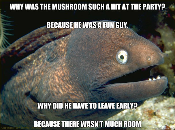 why was the mushroom such a hit at the party?

because he was a fun guy. Why did he have to leave early?

Because there wasn't much room - why was the mushroom such a hit at the party?

because he was a fun guy. Why did he have to leave early?

Because there wasn't much room  Bad Joke Eel
