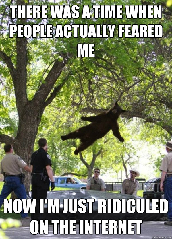 There was a time when people actually feared me now I'm just ridiculed on the internet - There was a time when people actually feared me now I'm just ridiculed on the internet  i am a falling bear