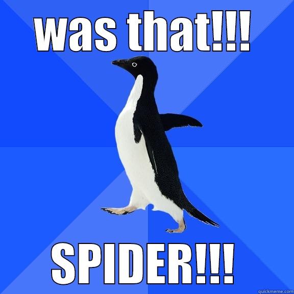 WAS THAT!!! SPIDER!!! Socially Awkward Penguin