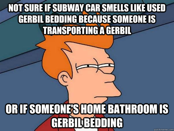 Not sure if subway car smells like used gerbil bedding because someone is transporting a gerbil or if someone's home bathroom is gerbil bedding - Not sure if subway car smells like used gerbil bedding because someone is transporting a gerbil or if someone's home bathroom is gerbil bedding  Futurama Fry