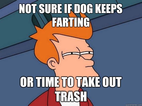 Not sure if dog keeps farting Or time to take out trash  Futurama Fry