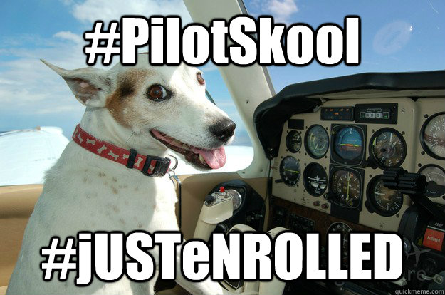 #PilotSkool #jUSTeNROLLED  Co-Pilot Dog